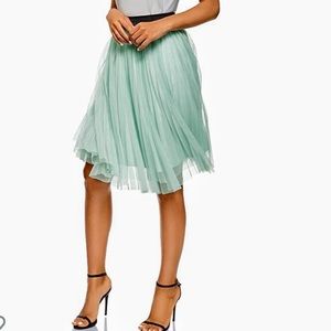 Mint Green Mesh Pleated Skirt